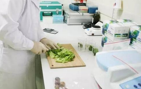 食品重金屬檢測儀，關注食品安全，防范重金屬危害